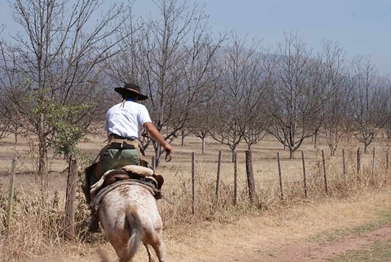 Riding with the gauchos in Salta 