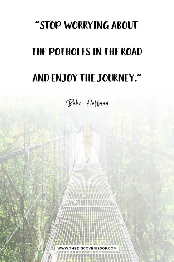 Stop worrying about the potholes in the road and enjoy the journey.