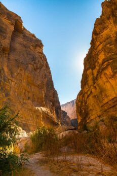 2 Days In Big Bend National Park Itinerary — The Discoveries Of