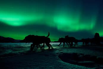 When Is The Best Time To See The Northern Lights? - The Discoveries Of