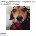 55 Funny Travel + Vacation Memes: Most Popular Travel Memes of 2021