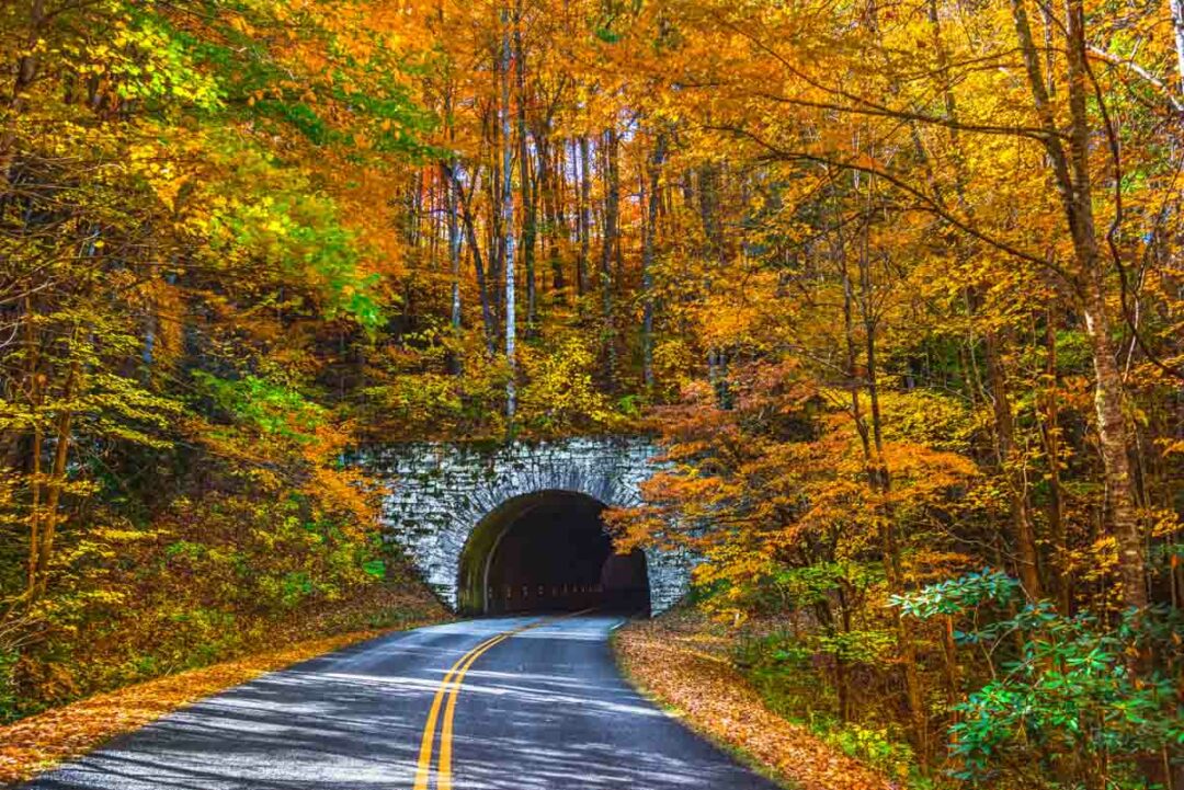 Asheville Fall Colors 2025 - Quinnt Ramsey