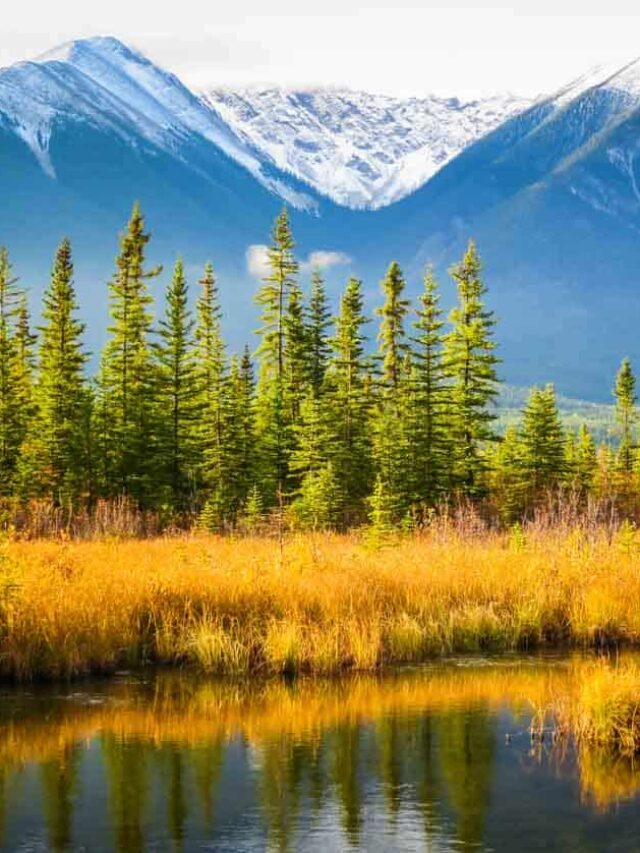 17 Incredible Things To Do In Jasper National Park Story — The Discoveries Of 5057