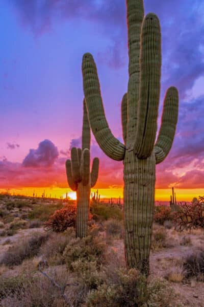 3 Days in Scottsdale Itinerary: A Perfect Weekend — The Discoveries Of