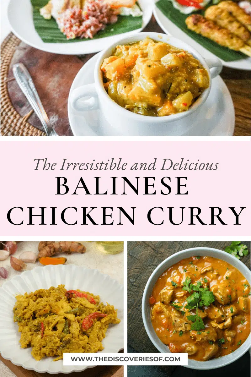 Balinese Chicken Curry (Opor Ayam) Recipe — The Discoveries Of