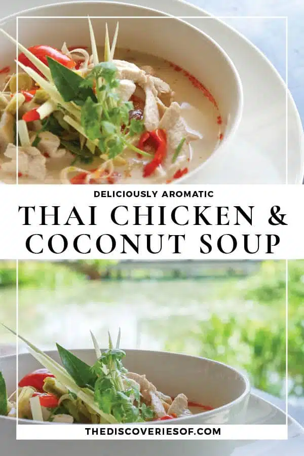 Thai Chicken and Coconut Soup (Tom Kha Gai) Recipe
