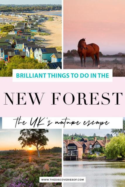 new forest tourist info