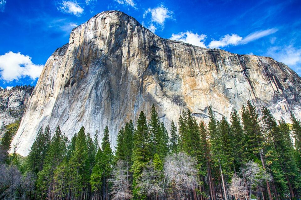 Incredible Things to do in Yosemite National Park — The Discoveries Of