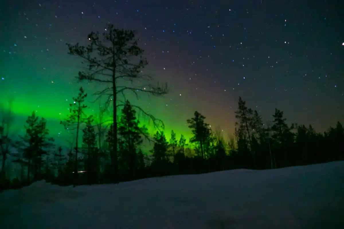 Aurora Boreal  See the Northern Lights