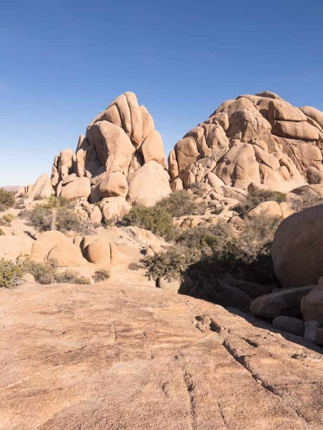 Hidden Valley Joshua Tree National Park Trail Guide — The Discoveries Of 3521