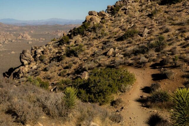 Stunning Hikes in Joshua Tree National Park — The Discoveries Of