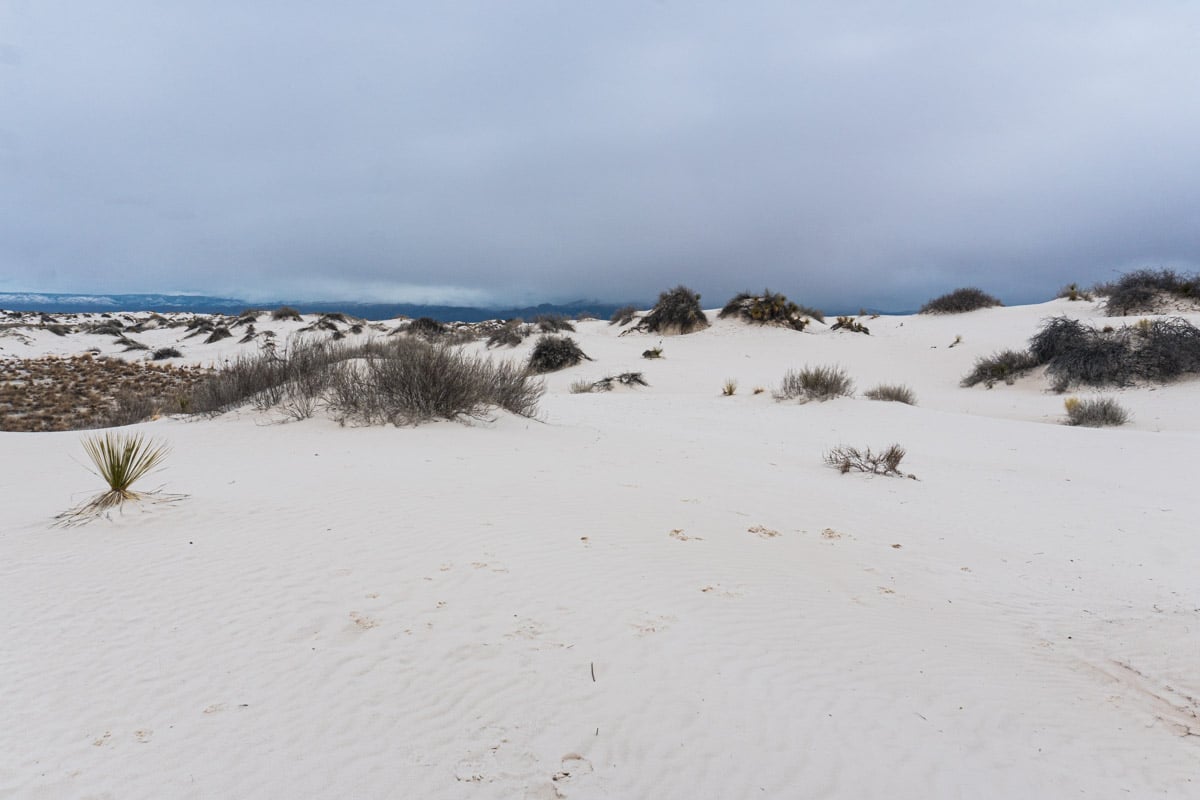 White Sands National Park New Mexico