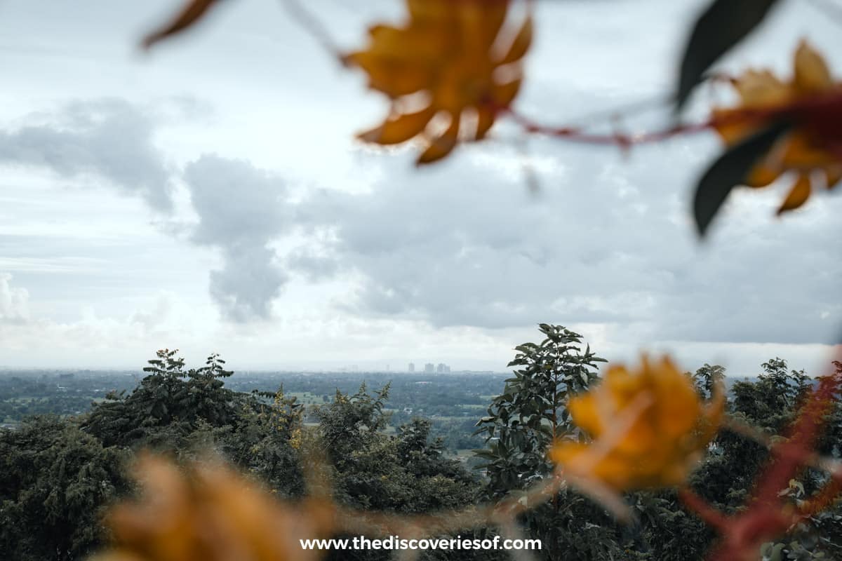 Views from Wat Phra That Doi Saket