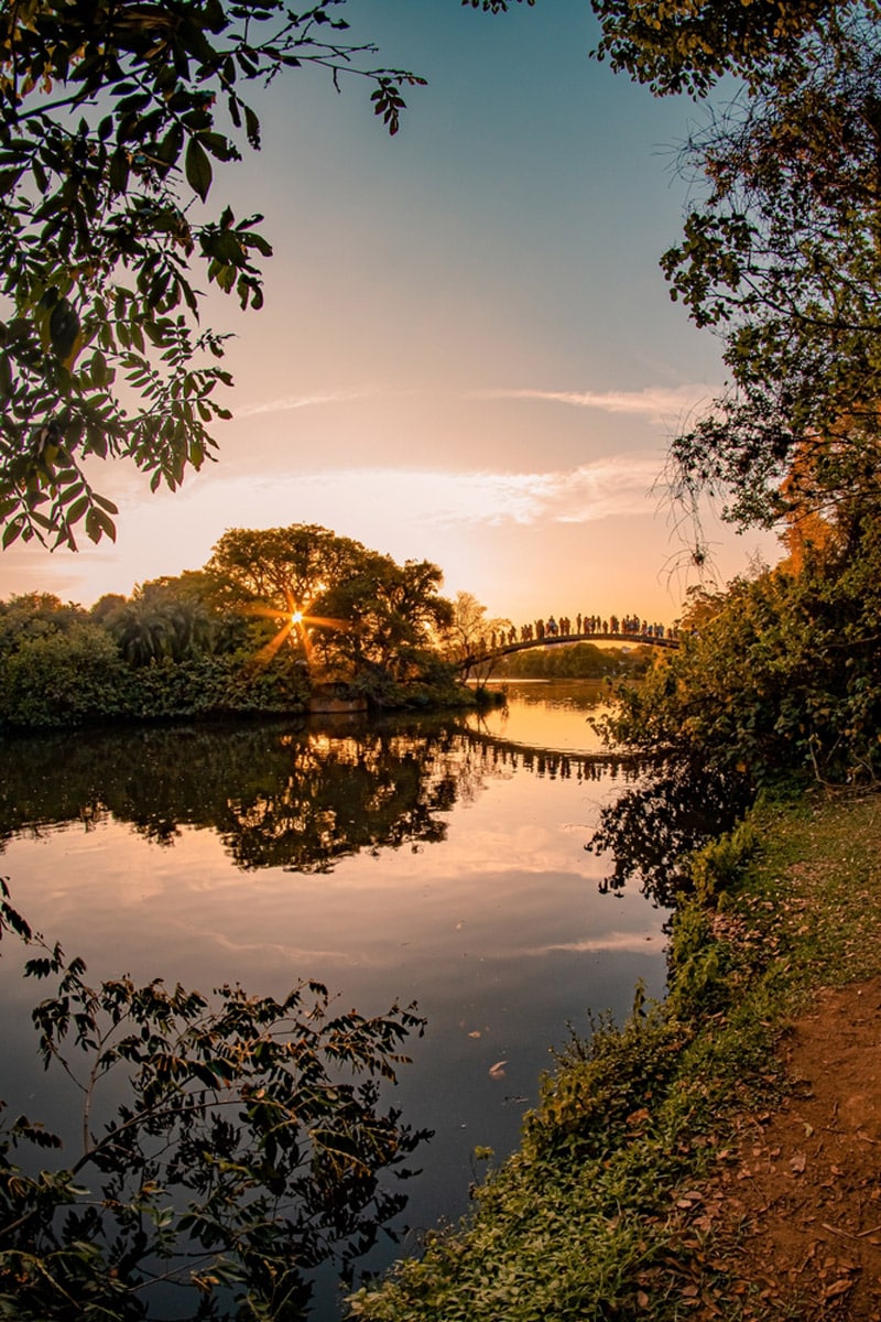 Ibirapuera Park 