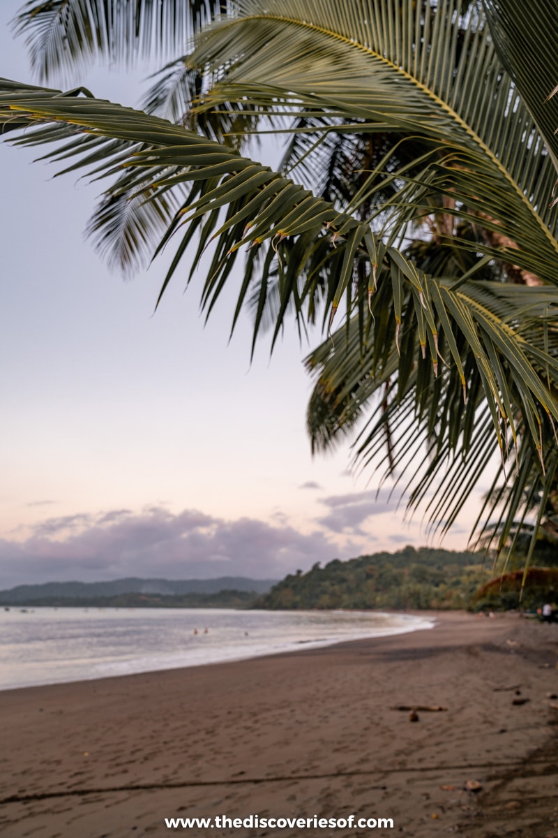 Drake Bay at Sunset 