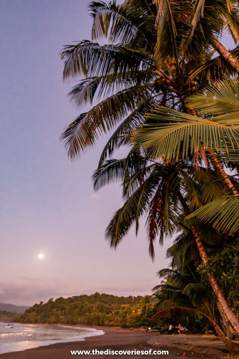 Drake Bay at Sunset 