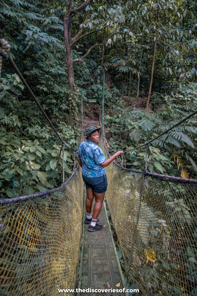 Julianna Barnaby at Rainmaker, Quepos