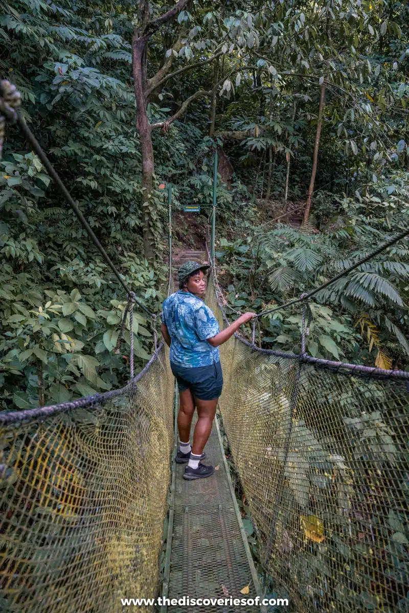 Julianna Barnaby at Rainmaker, Quepos