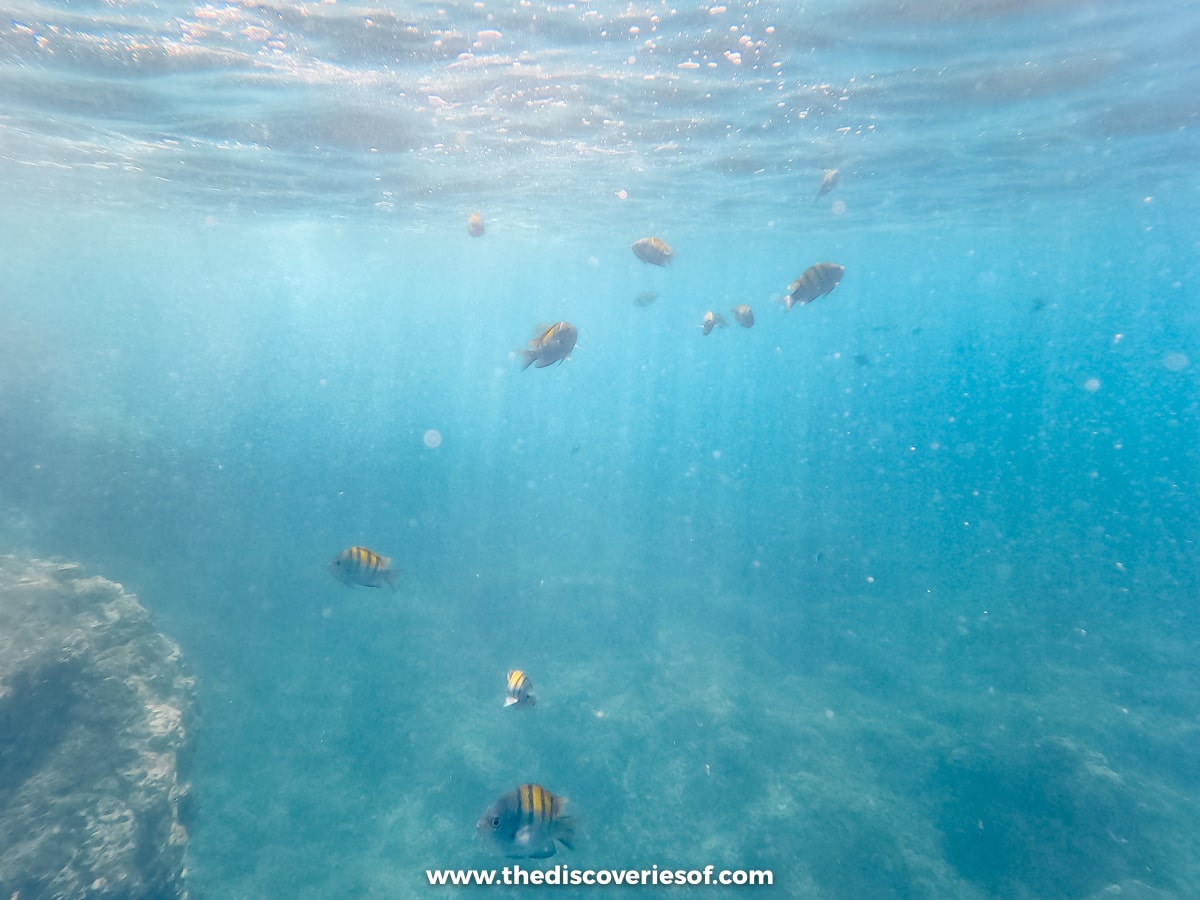 Snorkelling Cano Island