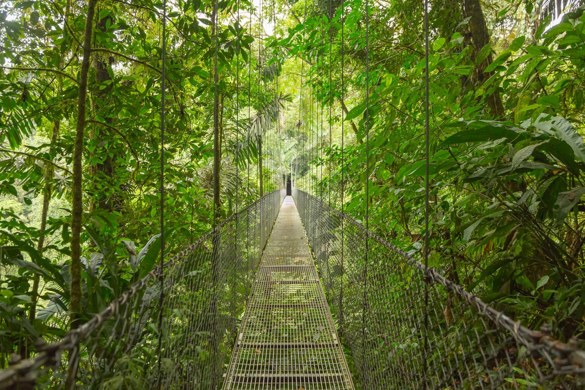 Mistico Hanging Bridges