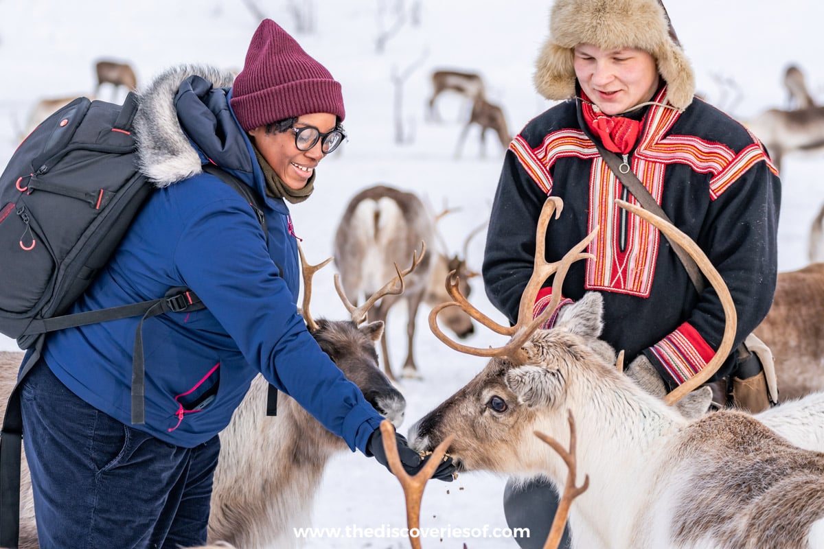 Feeding the reindeer and learning about Sami culture