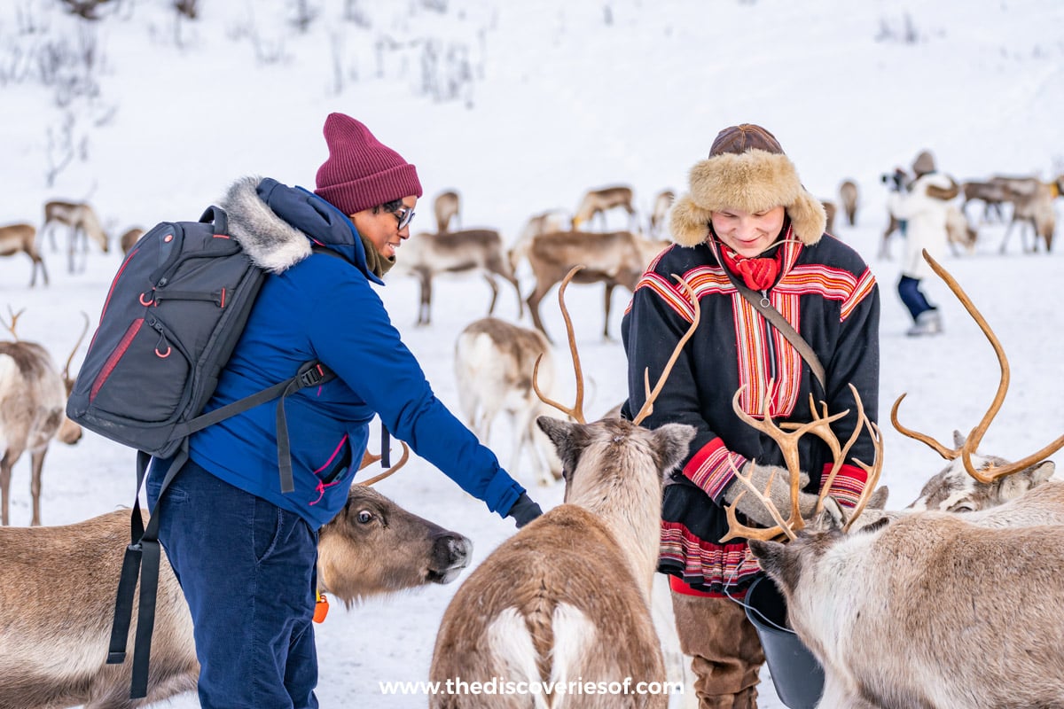 Julianna feeding reindeer