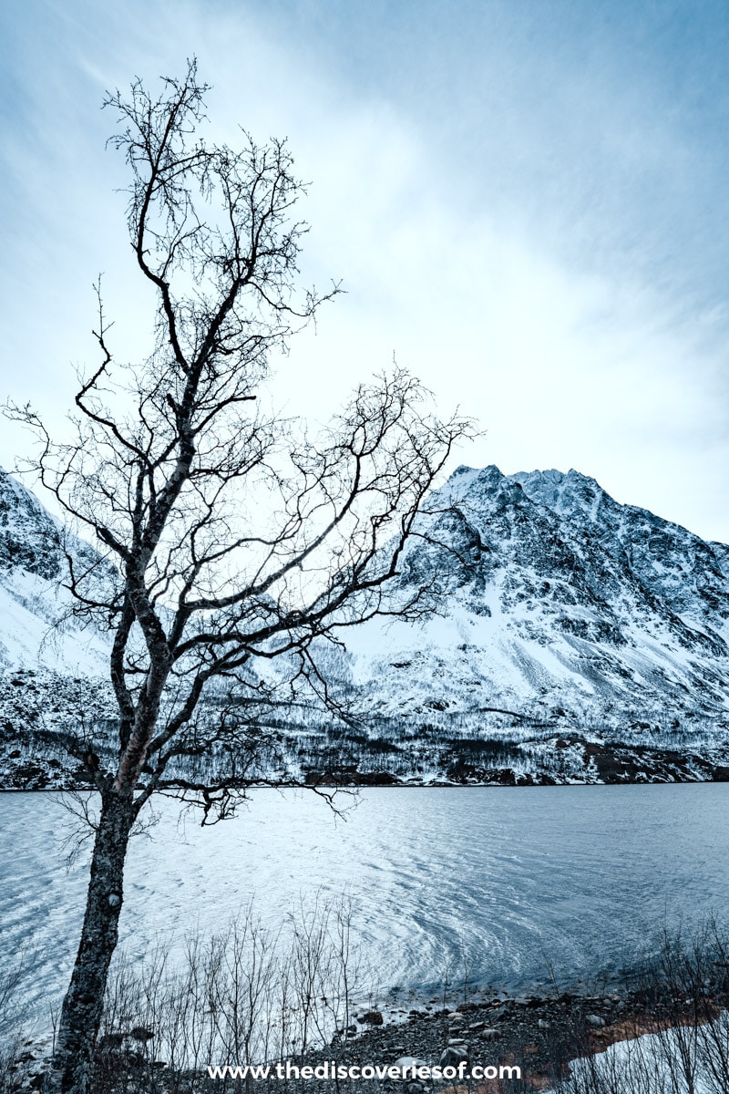 Lyngen Alps Road Trip