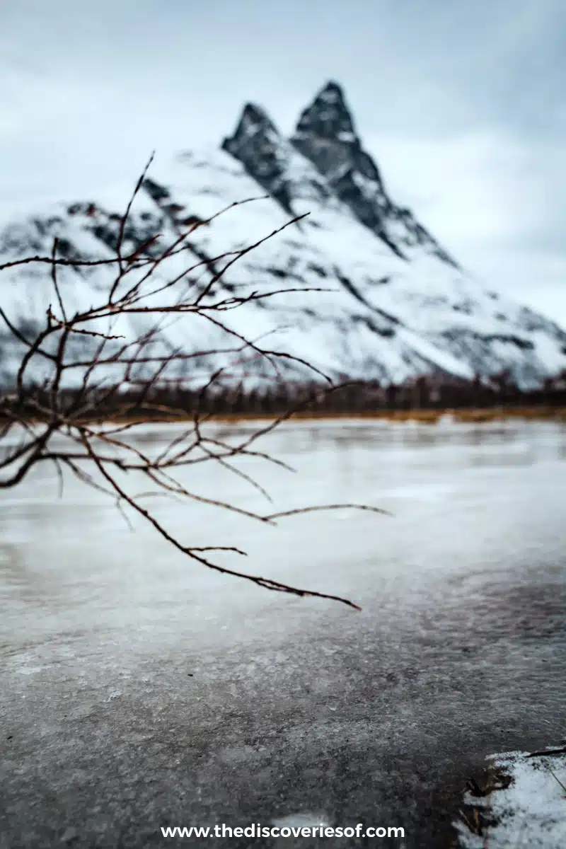 Otertind Lyngen Alps 