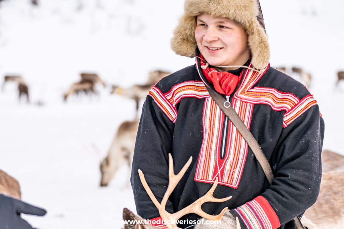 Herding the reindeer