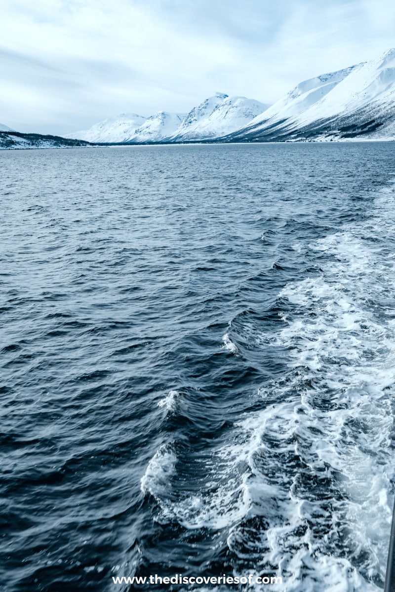 Views from the car ferry 