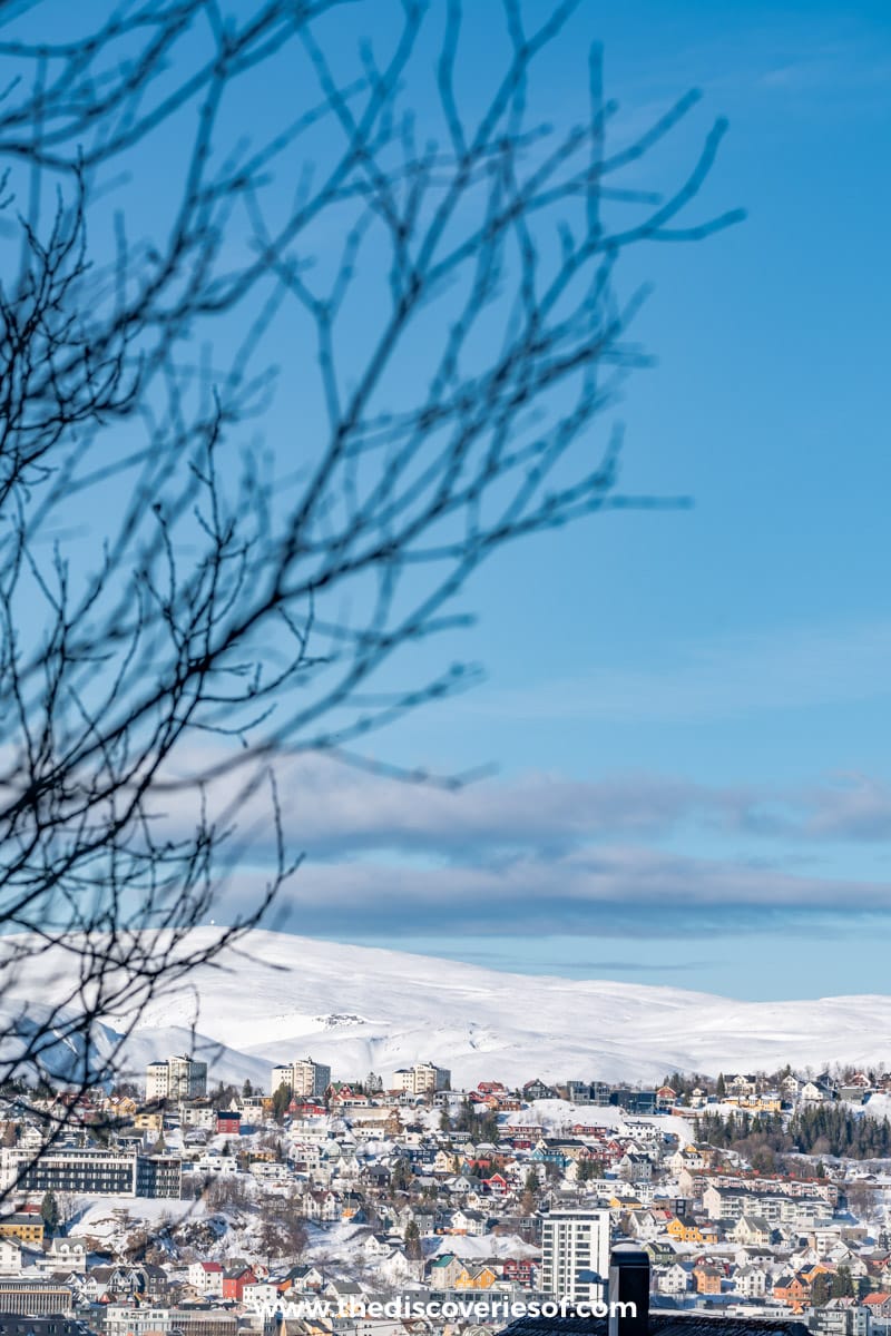 Views of Downtown Tromso