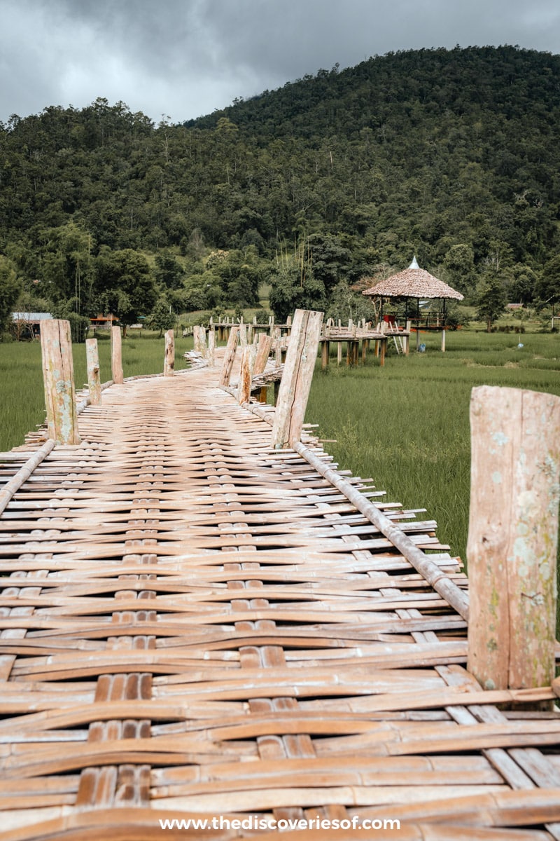 Bamboo Bridge