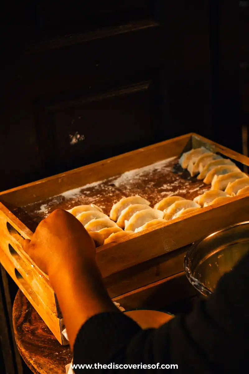 Gyoza at the night market